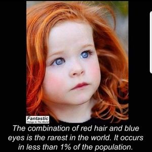 Redheads